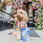 Puppy meals
