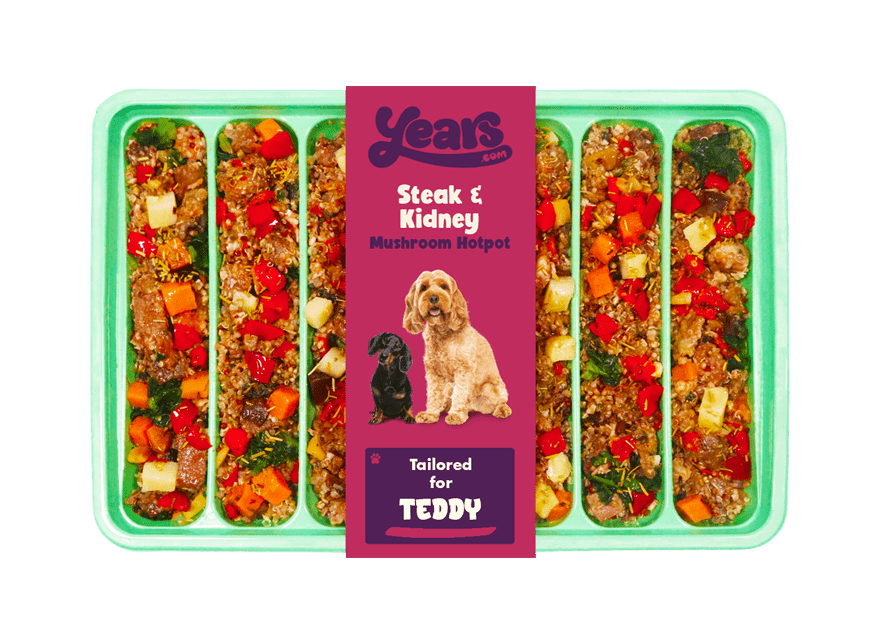Recipe new beef puppy Recipe new beef puppy