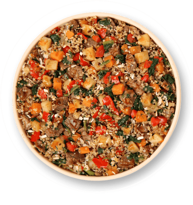 best-puppy-food-uk-prepared-meals-tailored-for-growing-puppies