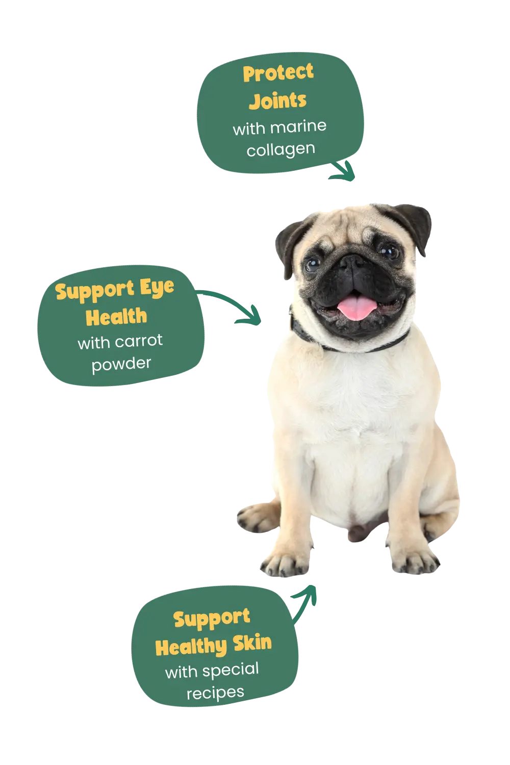 Benefits of Years for Pugs