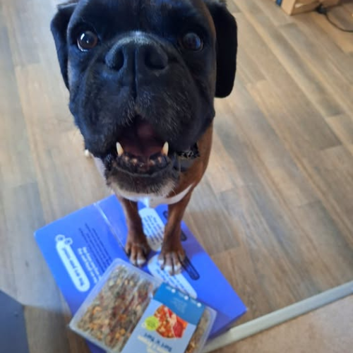 Boxer with Years box