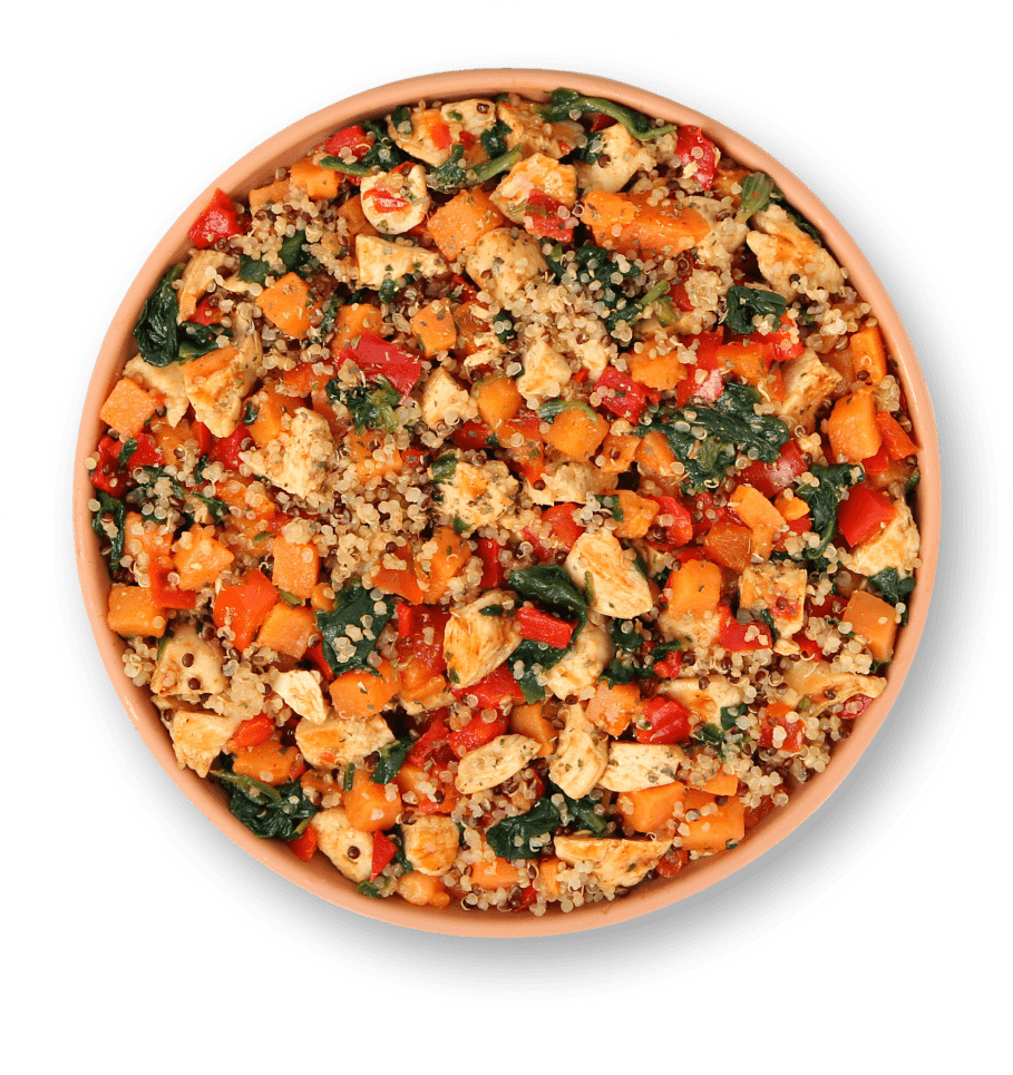 Tailored Chicken Thigh Mediterranean Casserole puppy recipe