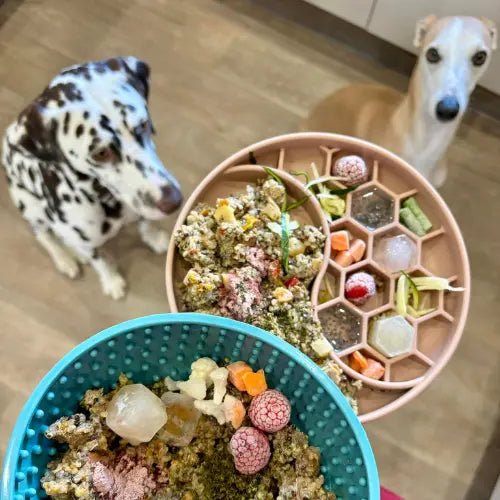 Dalmatian and whippet with Years dog food