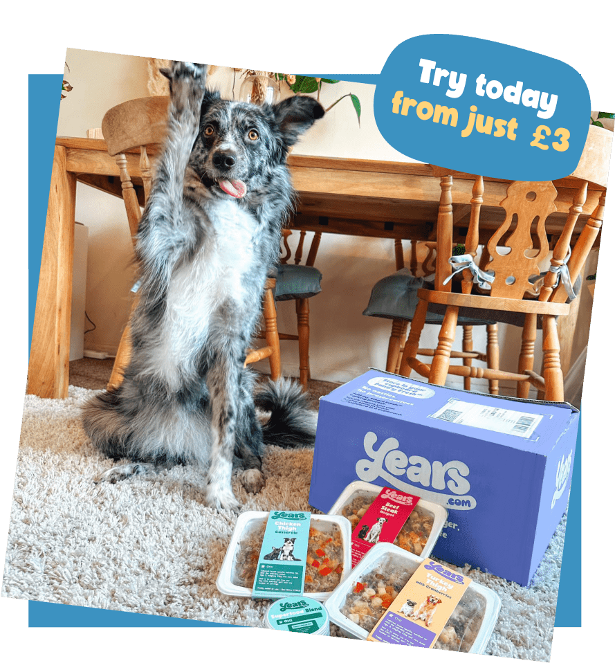 Dog food trail hot sale