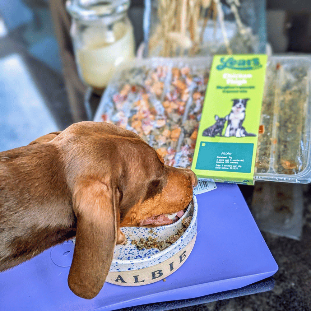 diabetes friendly dog food