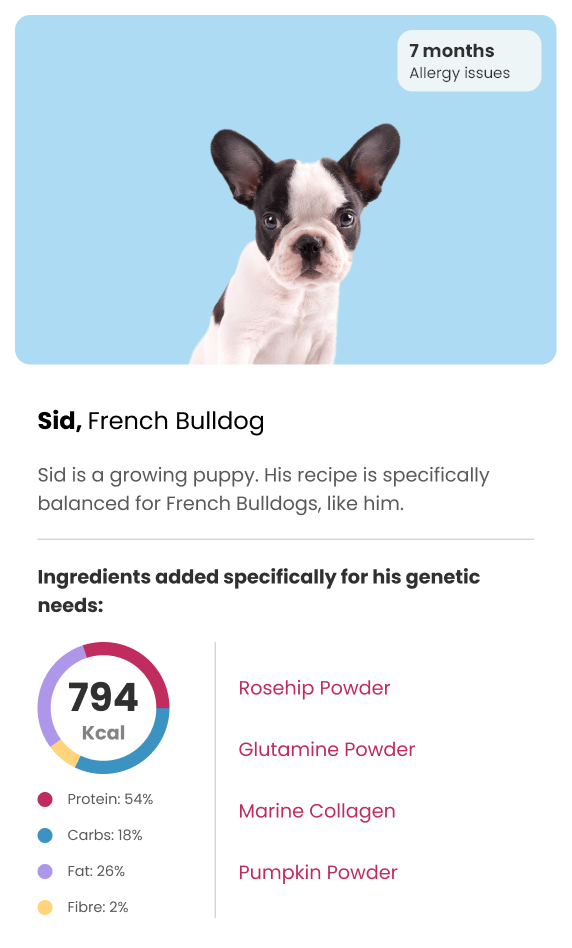 best-puppy-food-uk-prepared-meals-tailored-for-growing-puppies