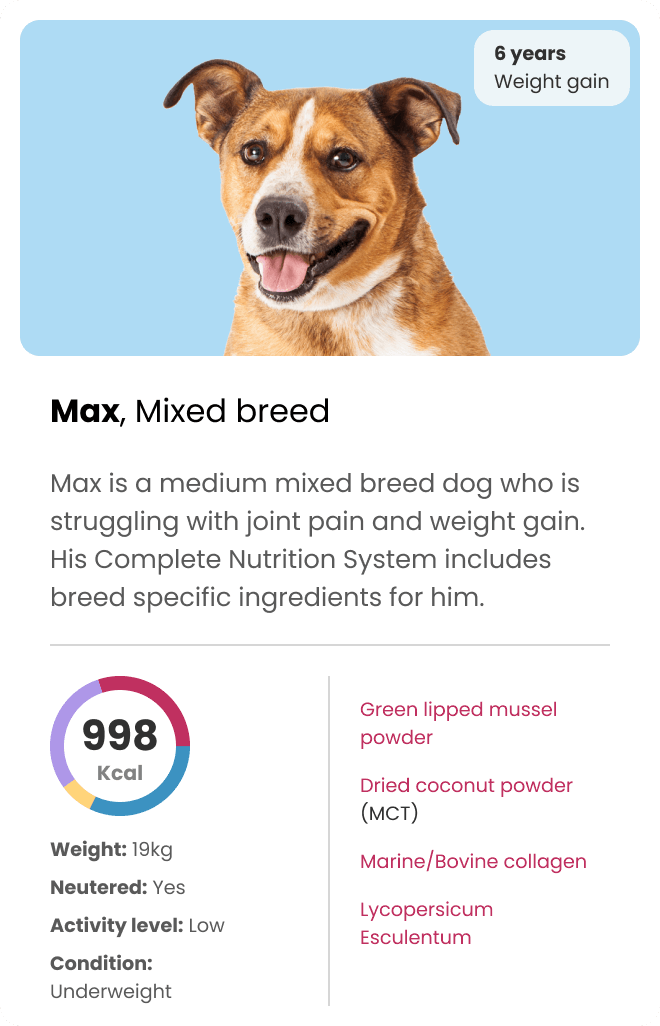 Years Personalised Fresh Dog Food Delivery 97 Rating