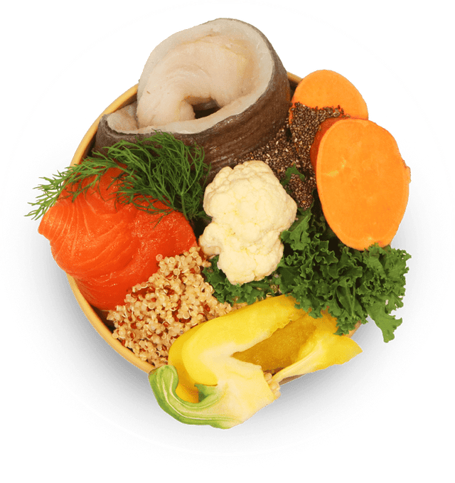 best-puppy-food-uk-prepared-meals-tailored-for-growing-puppies