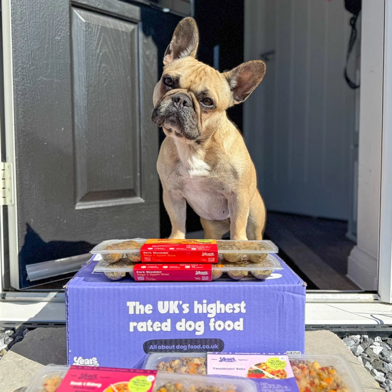 French bulldog Years dog food