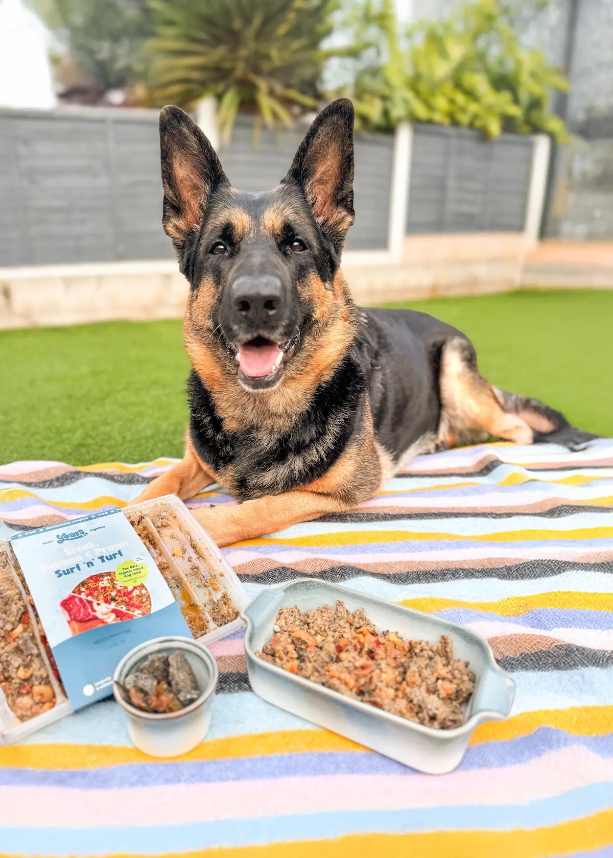 How Much Dog Food Should a German Shepherd Eat: Ultimate Guide