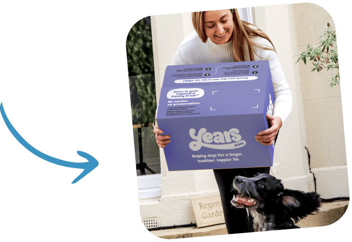 years dog food box