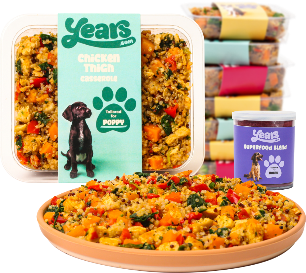 Complete Dog Nutrition Plan tailored wholefood meals and custom probiotic and prebiotic