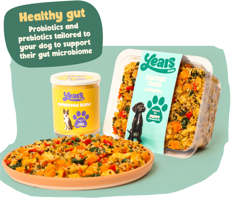 Complete dog food with prebiotics and probiotics support