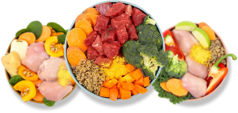 Three bowls filled with prime cuts of meat and fresh vegetables ready for your dog - much better than human grade dog food