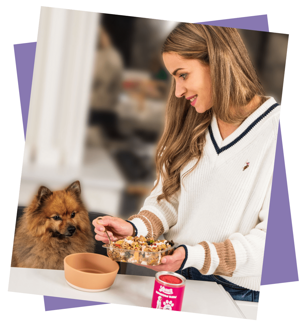 dog owner serving tailored dog food to small dog