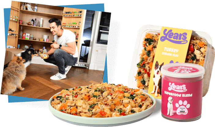 Convenient food for you and your dog