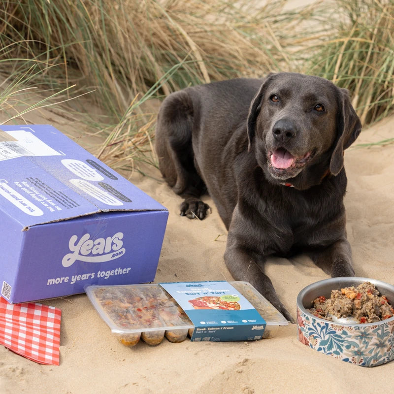 Labrador Years dog food