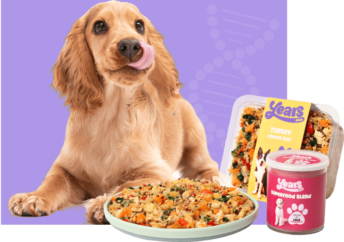 Fresh Cooked Meals for Dogs | Nutritionally Complete Dog Food