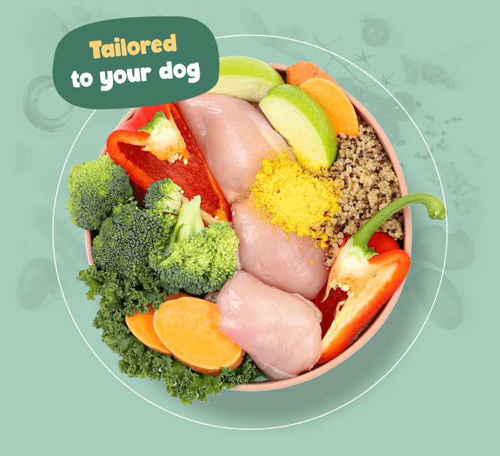 Meals sales for dogs