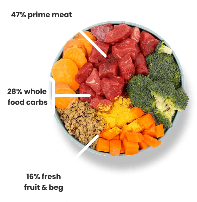 bowl of nutritionally dense dog food made of 47% prime meat, 28% whole food carbs and 16% fresh fruit & veg