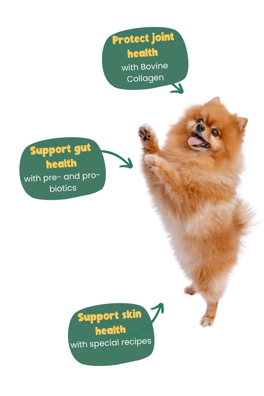 Benefits of Years dog food