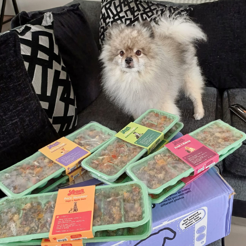 Pomeranian on Years box