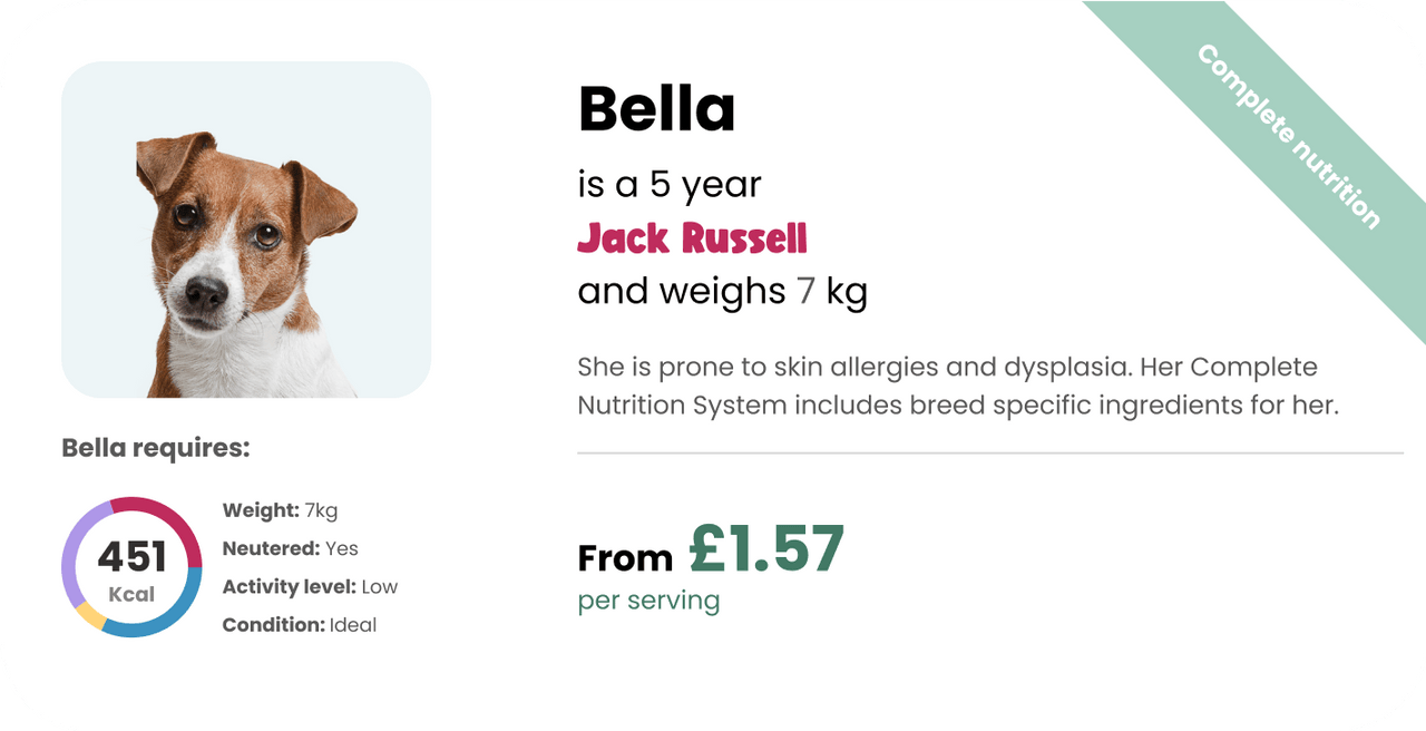 Jack Russell's personalised nutrition pricing