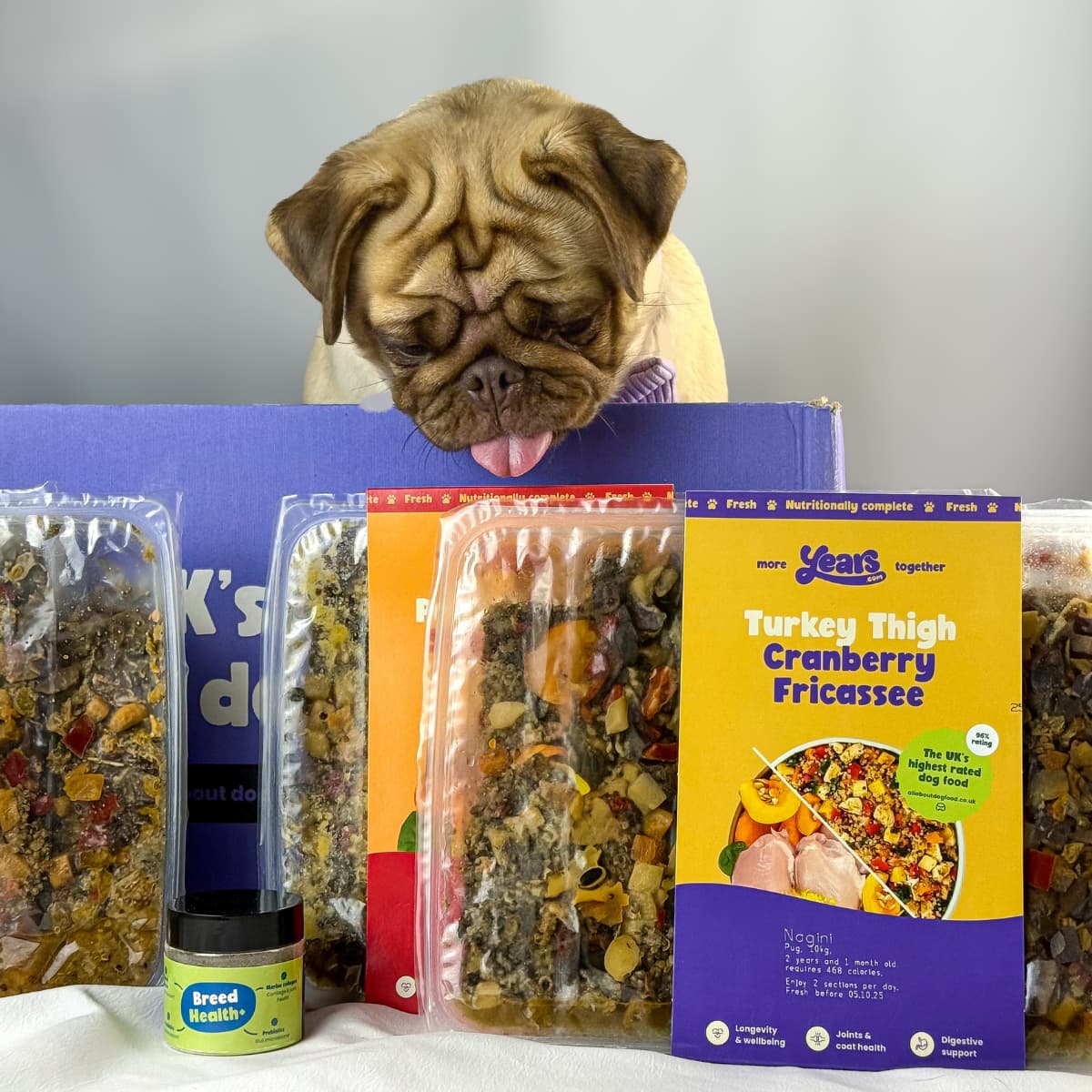 Pug with Years meal hero image