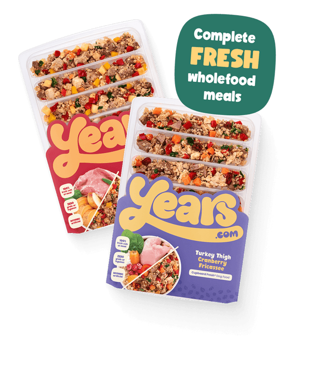 Best Puppy Food UK | Personalised Grain Free Puppy Food