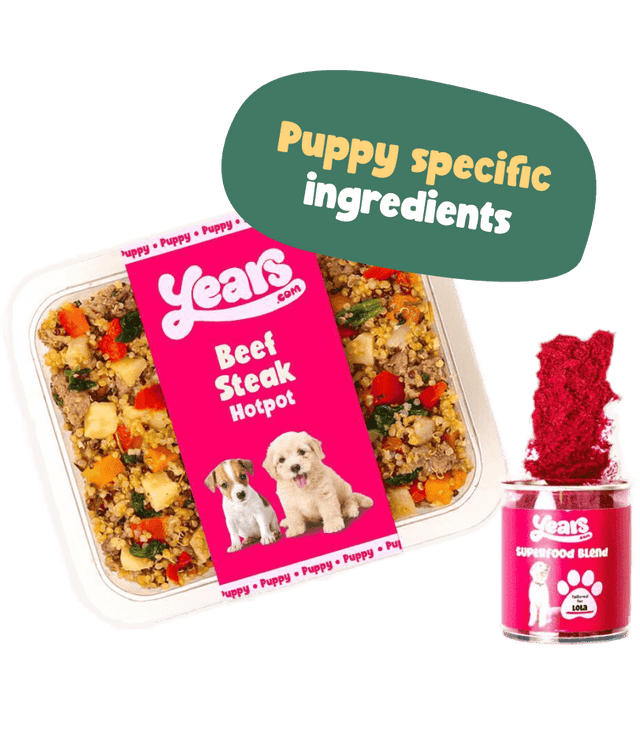 best-puppy-food-uk-prepared-meals-tailored-for-growing-puppies