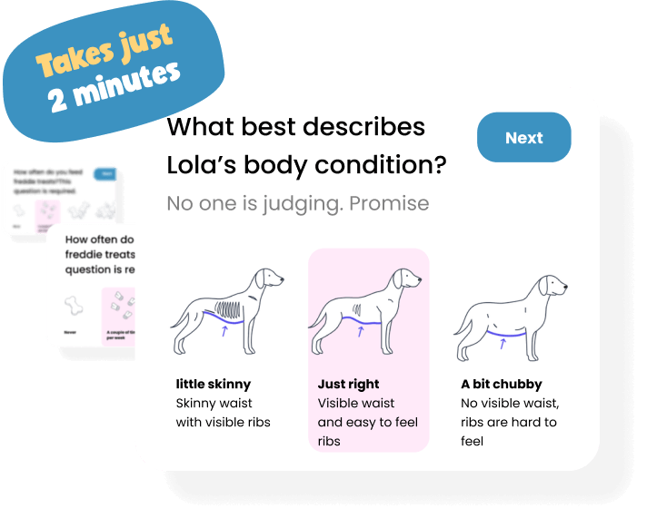 Survey to calculate your dogs nutrition requirements