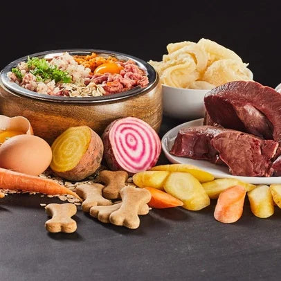 Raw vs fresh dog food