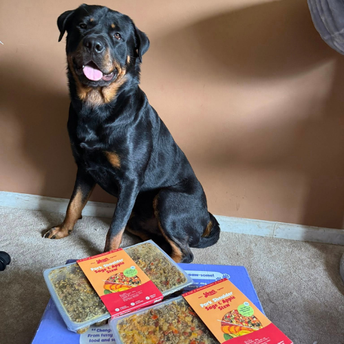 Rottweiler with Years Meals