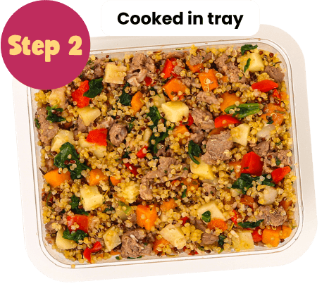 dog meal prepped and steam cooked by chefs