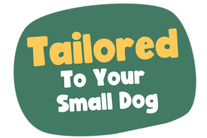 tailored to your small dog