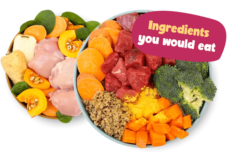 delicious dog meals with ingredients humans would eat