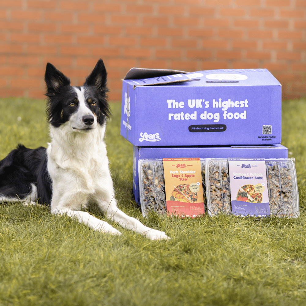 Years cognitive health page